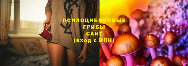 дживик Мегион