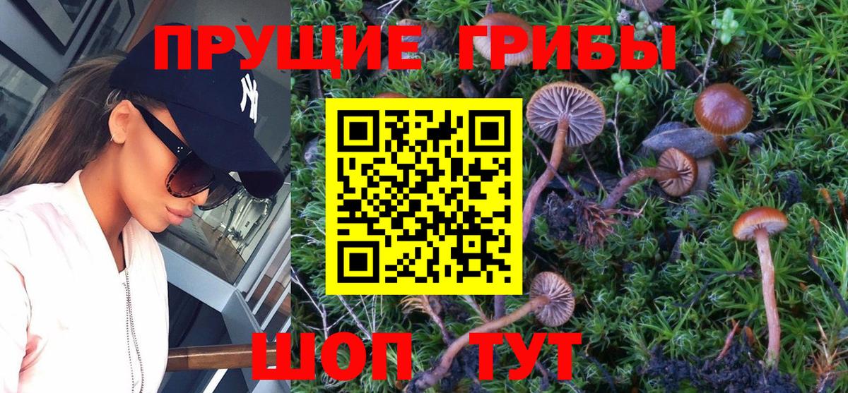 Менделеевск  Галлюциногенные грибы MAGIC MUSHROOMS  Галлюциногенные грибы мицелий  Вход с VPN 