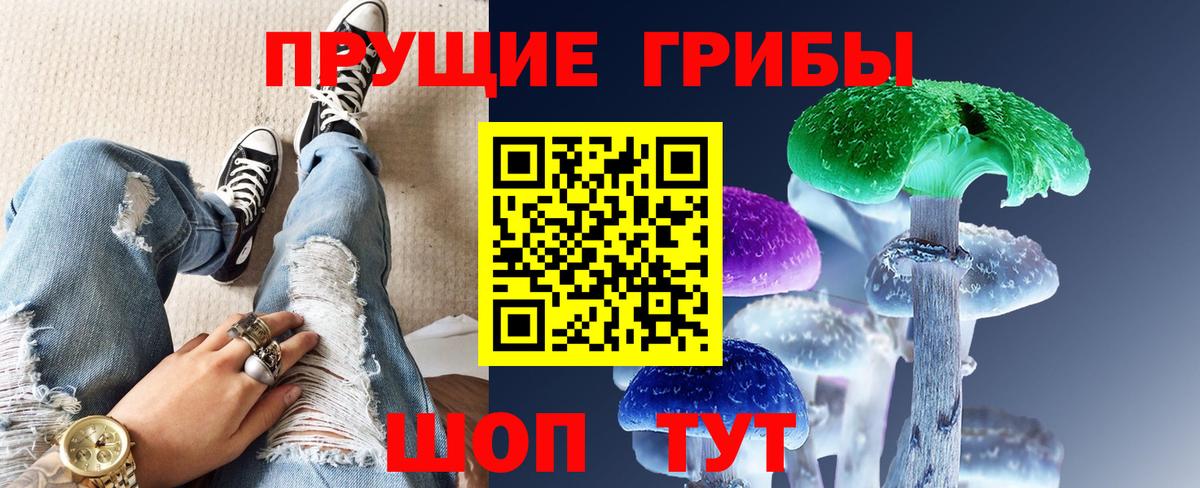 Псилоцибиновые грибы MAGIC MUSHROOMS  Менделеевск  Псилоцибиновые грибы GOLDEN TEACHER 