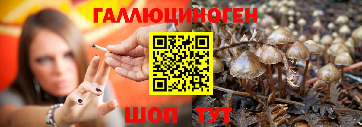 Галлюциногенные грибы Magic Shrooms Менделеевск