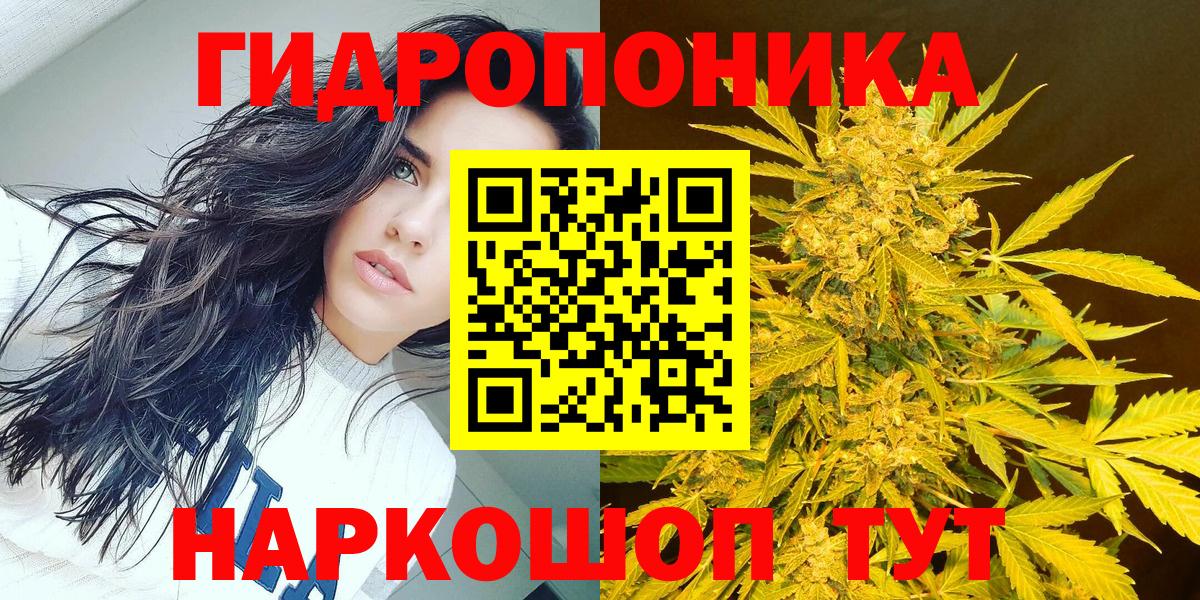 Бошки марихуана гибрид Менделеевск